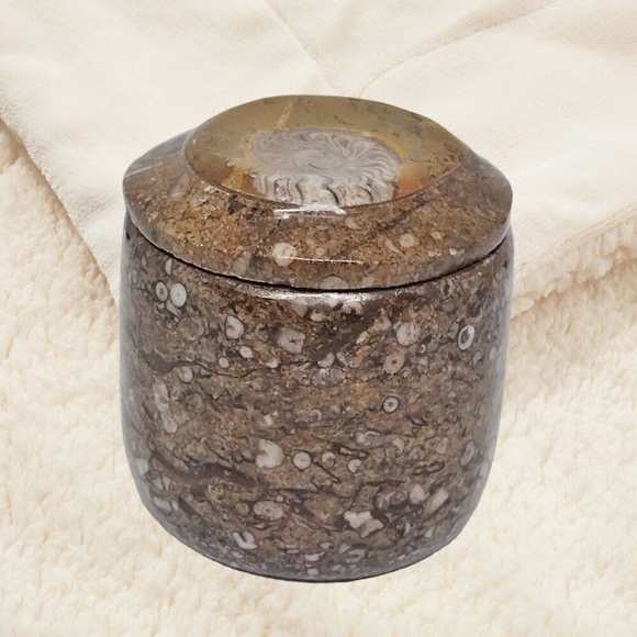 Ammonite Fossil on the Trinket Box's Lid. - Picture 7 of 9